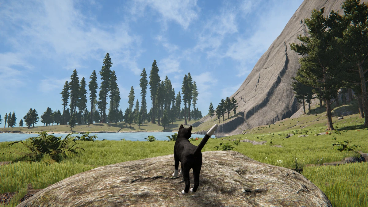 A black cat stands on a rock overlooking a lake, pine forest, grassy terrain, and a steep mountain.
